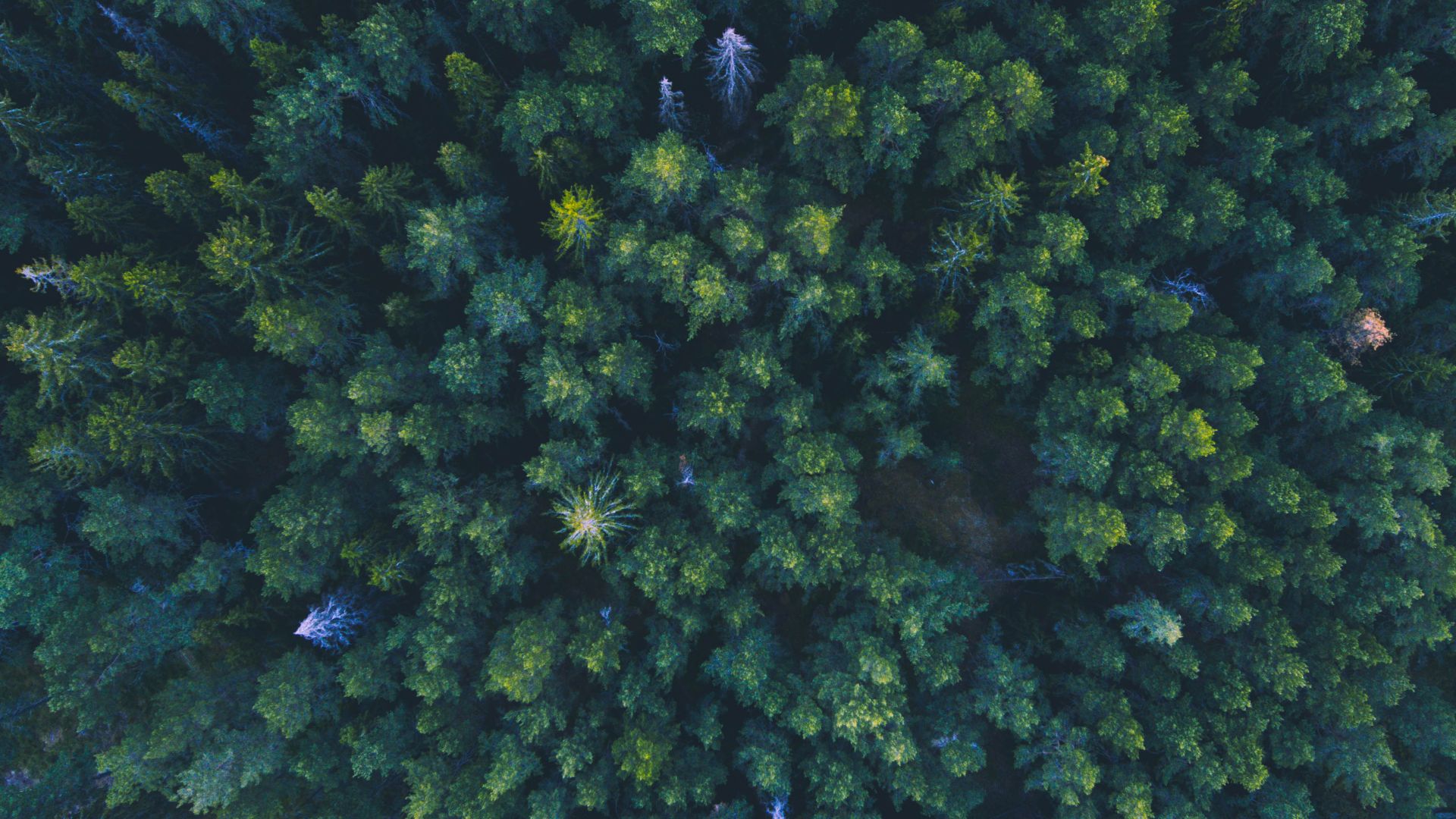 關注崴正永續消息