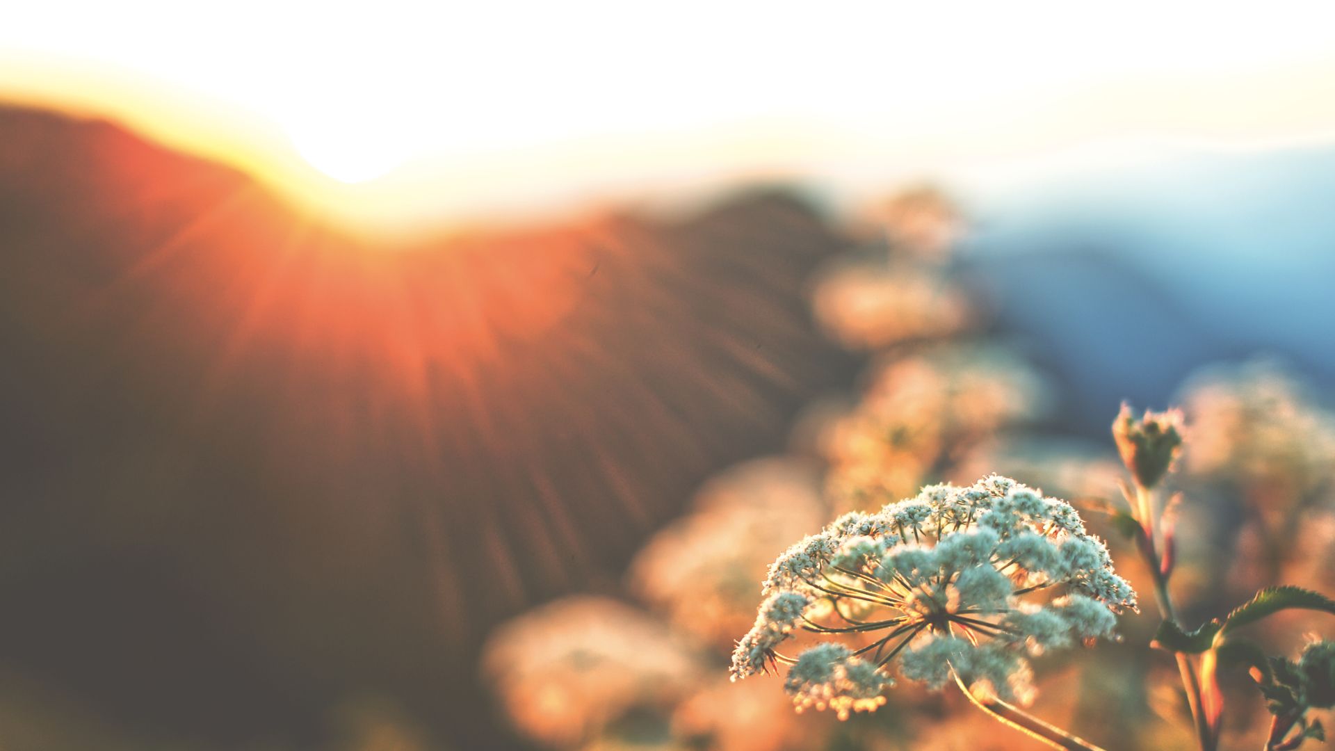 共創社會美好力量